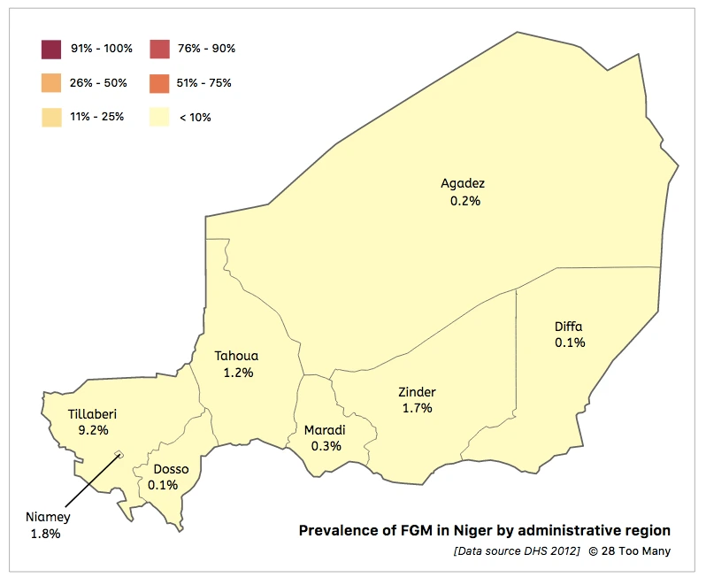 Niger | FGM/C Research Initiative | Orchid Project